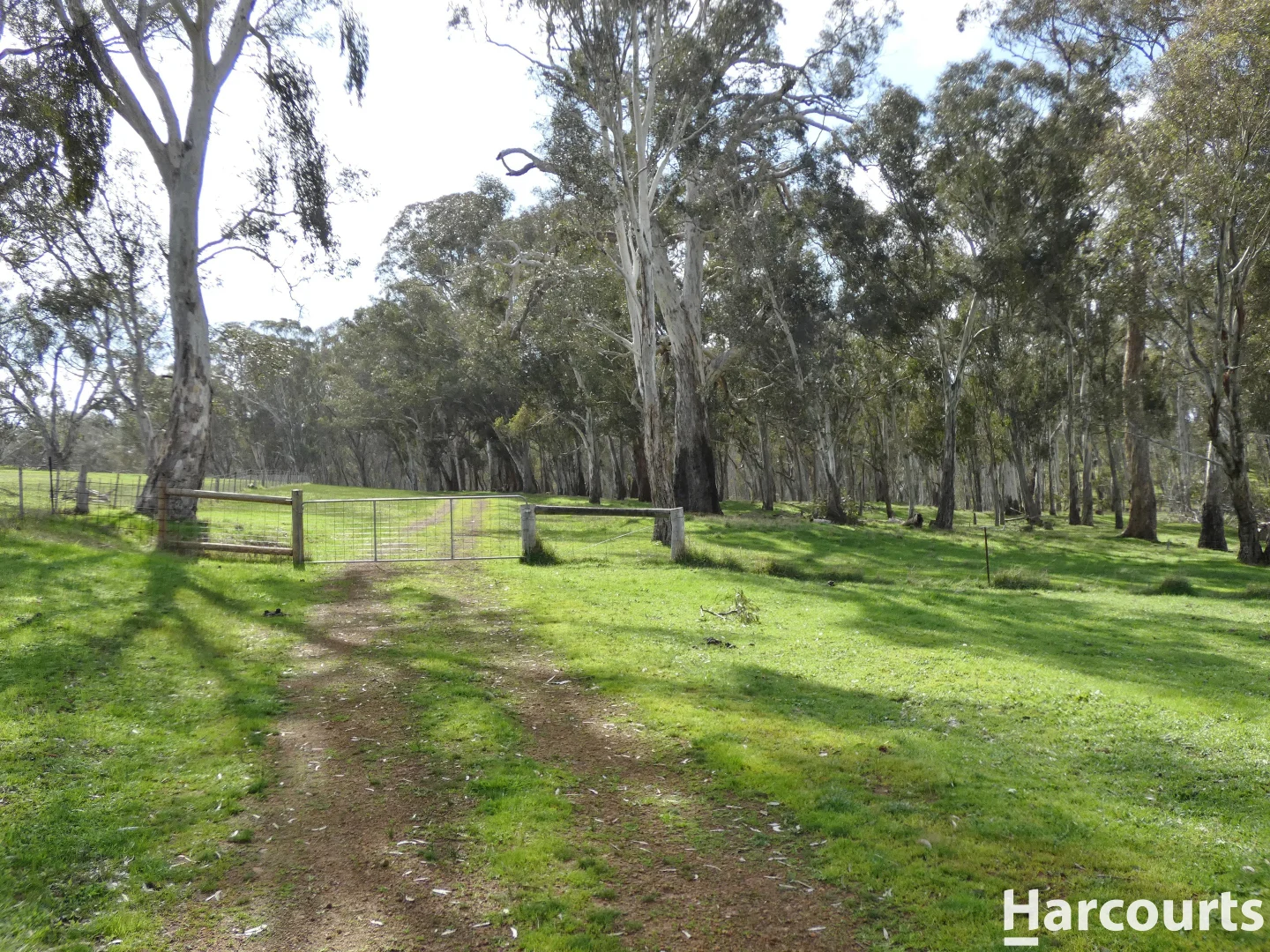 Additional image 37 of 1790 Harrow-Balmoral Road, Balmoral VIC 3407