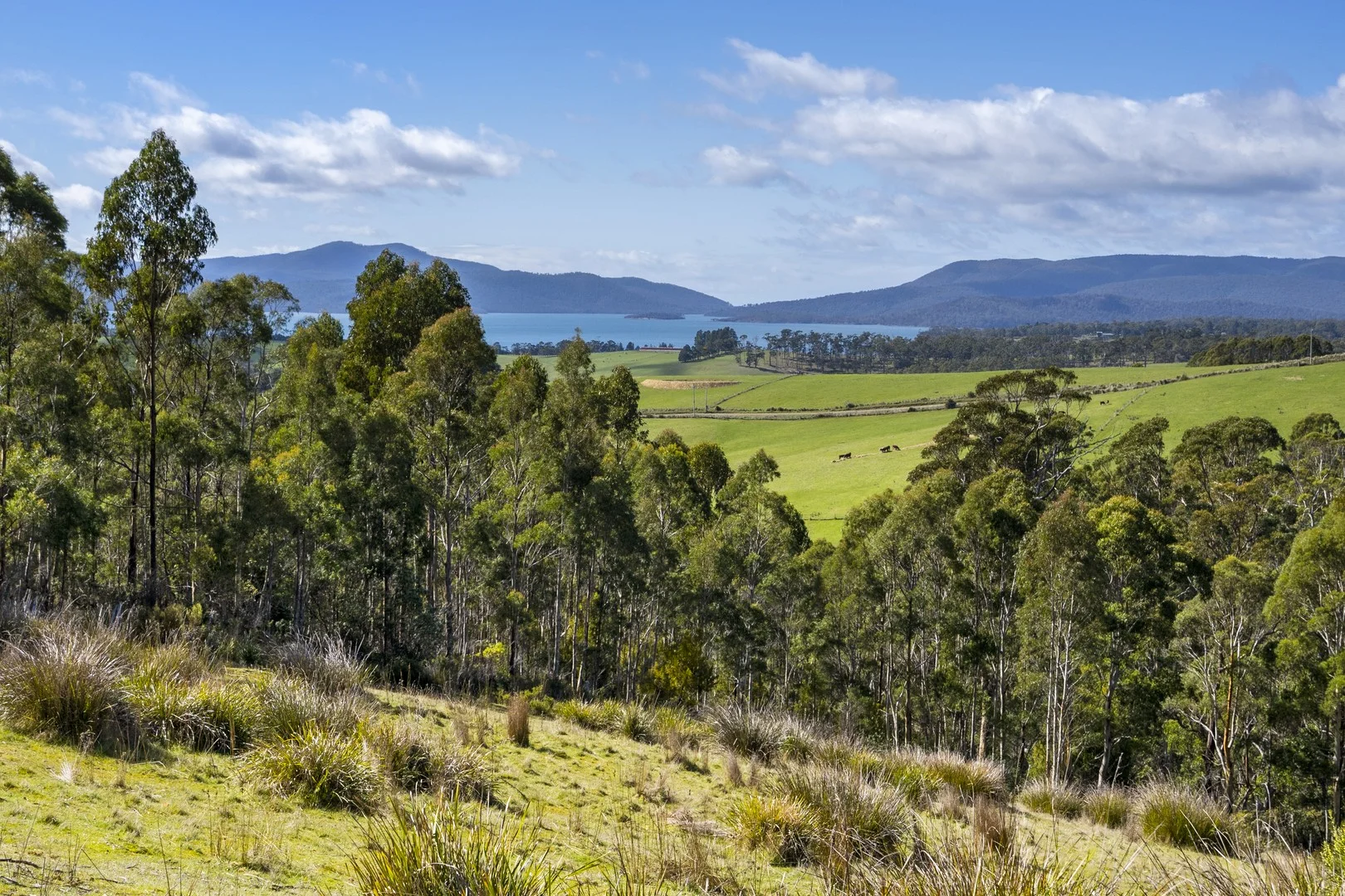 129 Littles Road, Premaydena TAS 7185