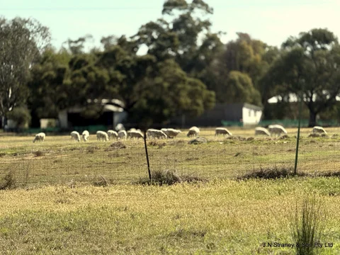 Additional image 27 of 118 Henry Parkes Way, Condobolin NSW 2877