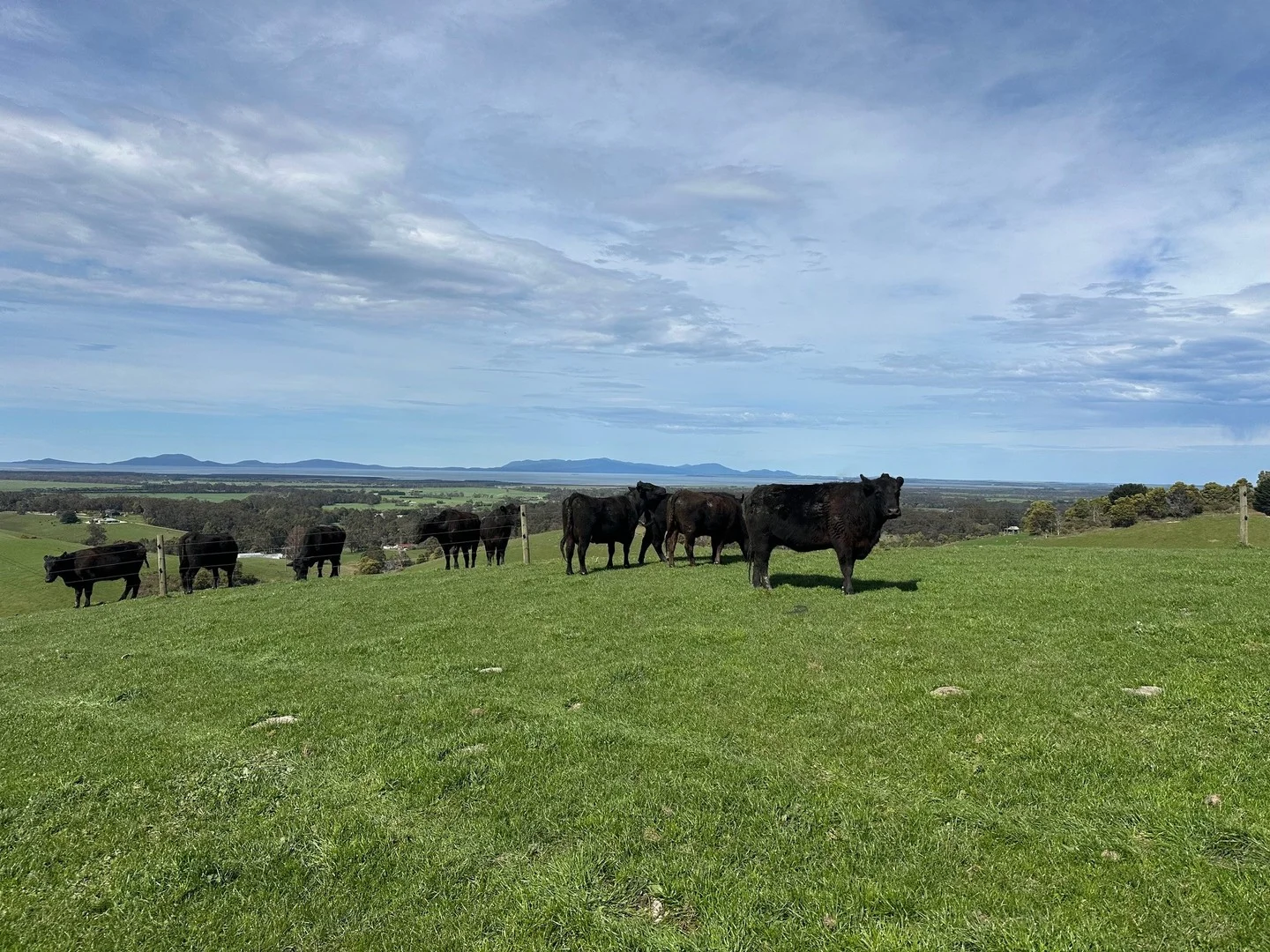 Lots 1 & 2/3655a South Gippsland Highway, Foster VIC 3960