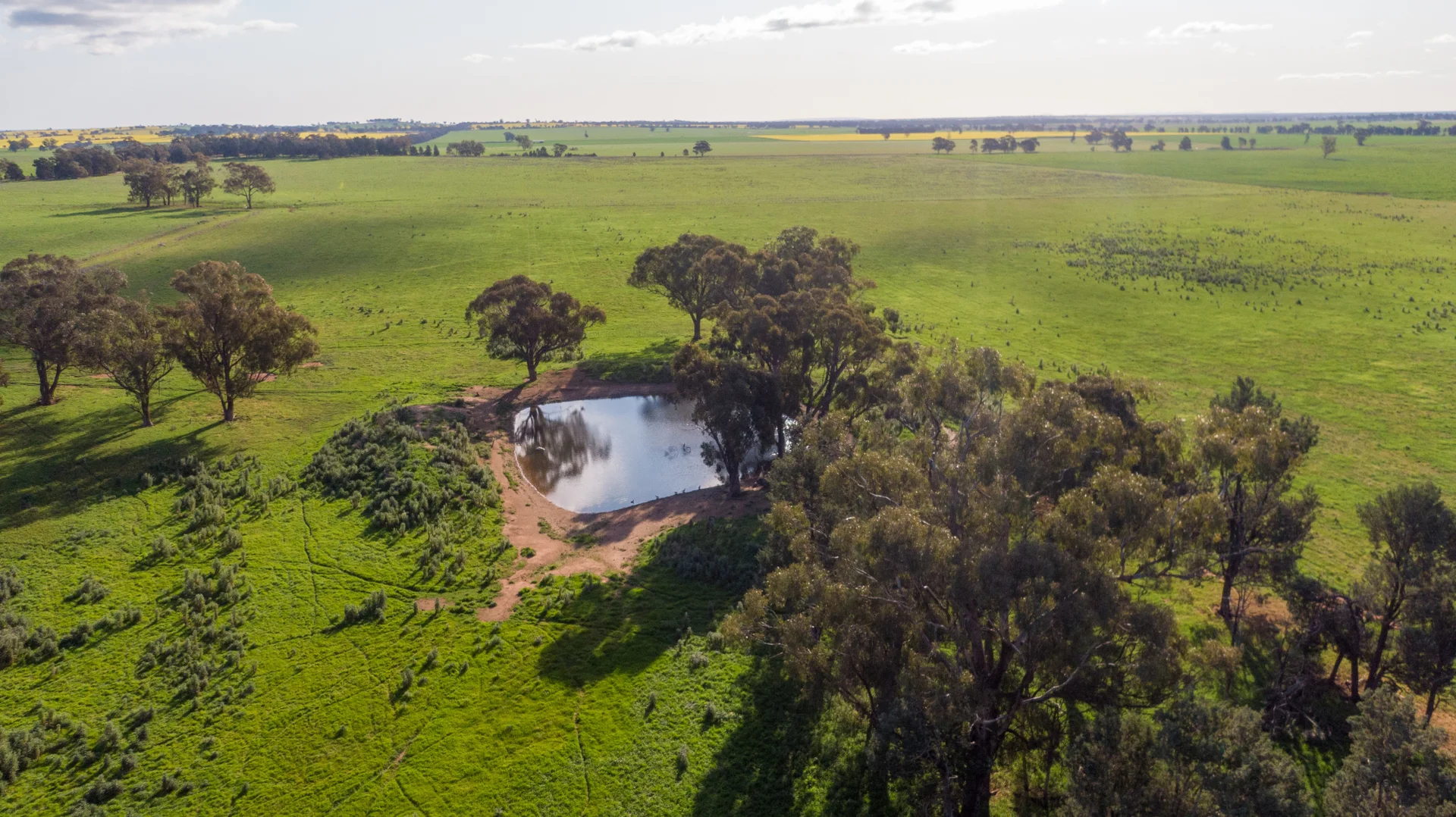 Additional image 8 of Kincora & Poachers Millwood Road, Coolamon NSW 2701