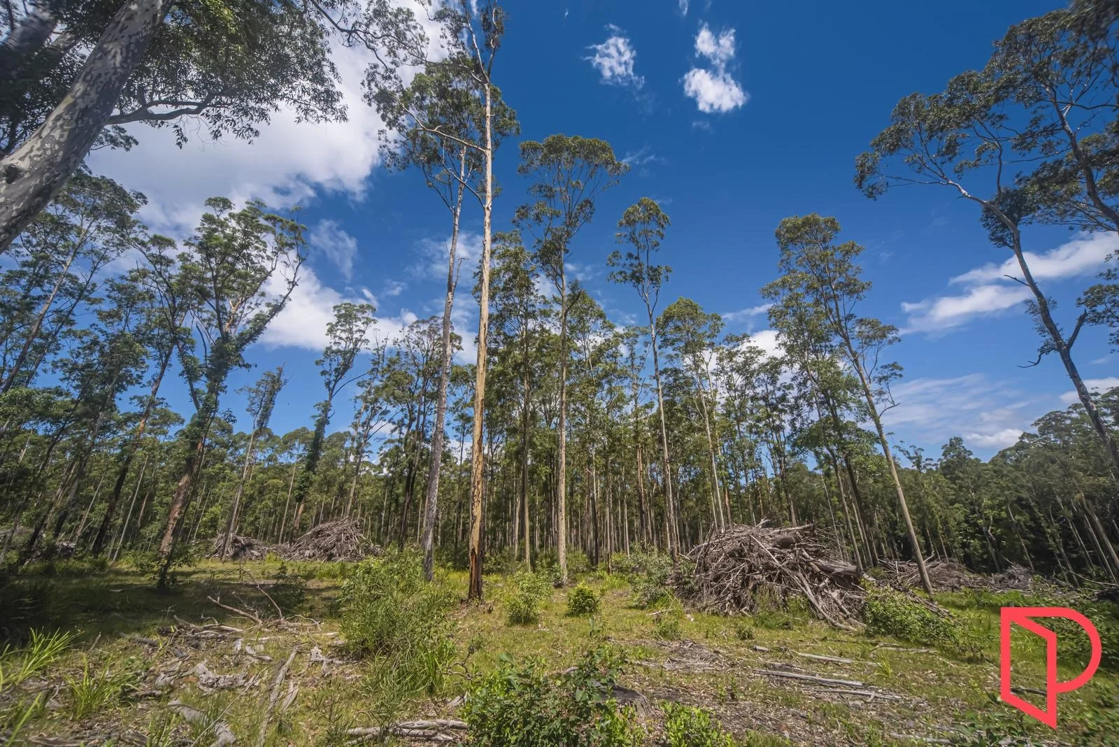 Additional image 9 of 42 Turpentine Road, Tomerong NSW 2540