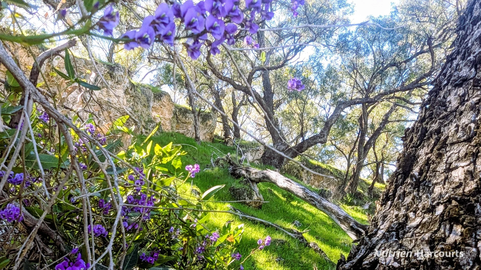 Lot 51 Millbank Road, Cowalla WA 6503