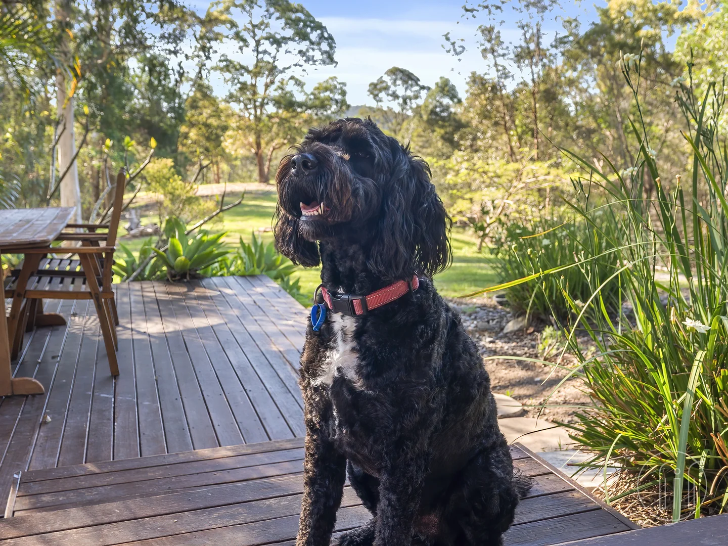 Additional image 11 of 299 Kidaman Creek Road, Kidaman Creek QLD 4574