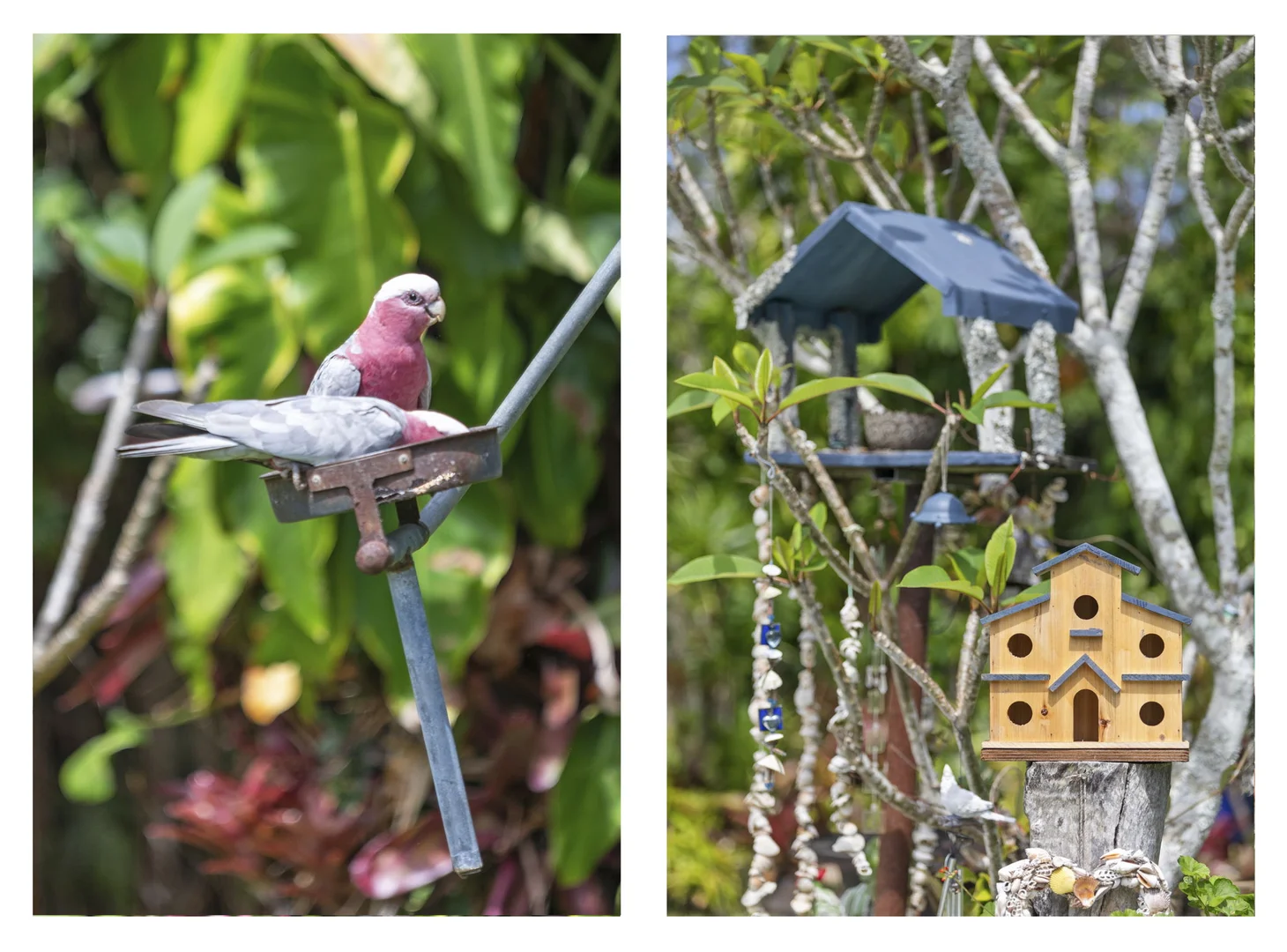 Additional image 17 of 1395 Roys Road, Coochin Creek QLD 4519