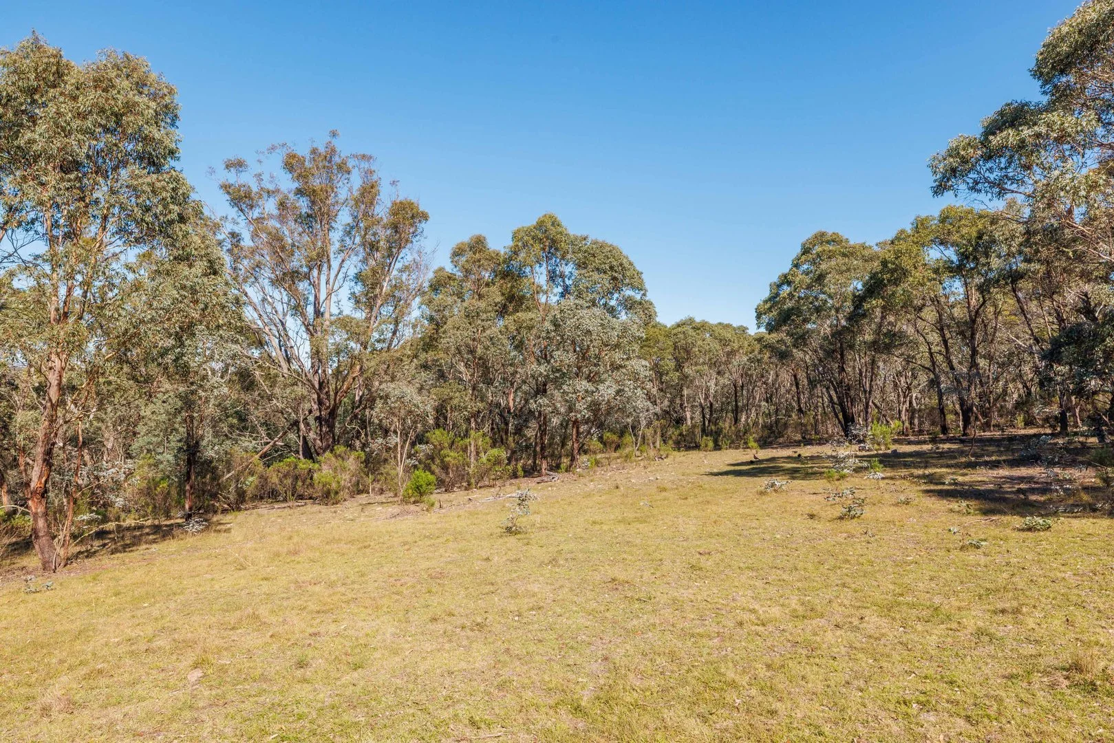 Additional image 22 of 91 Rosehill Road, Bombala NSW 2632