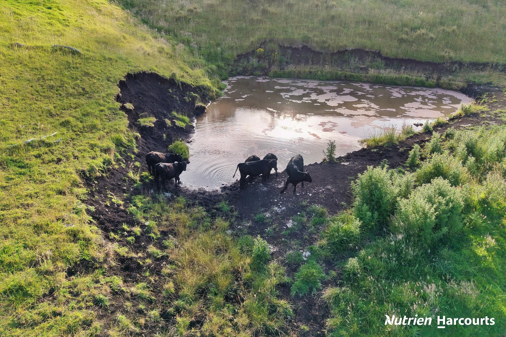 Additional image 28 of 482 Old Whitelaws Track, Devon North VIC 3971