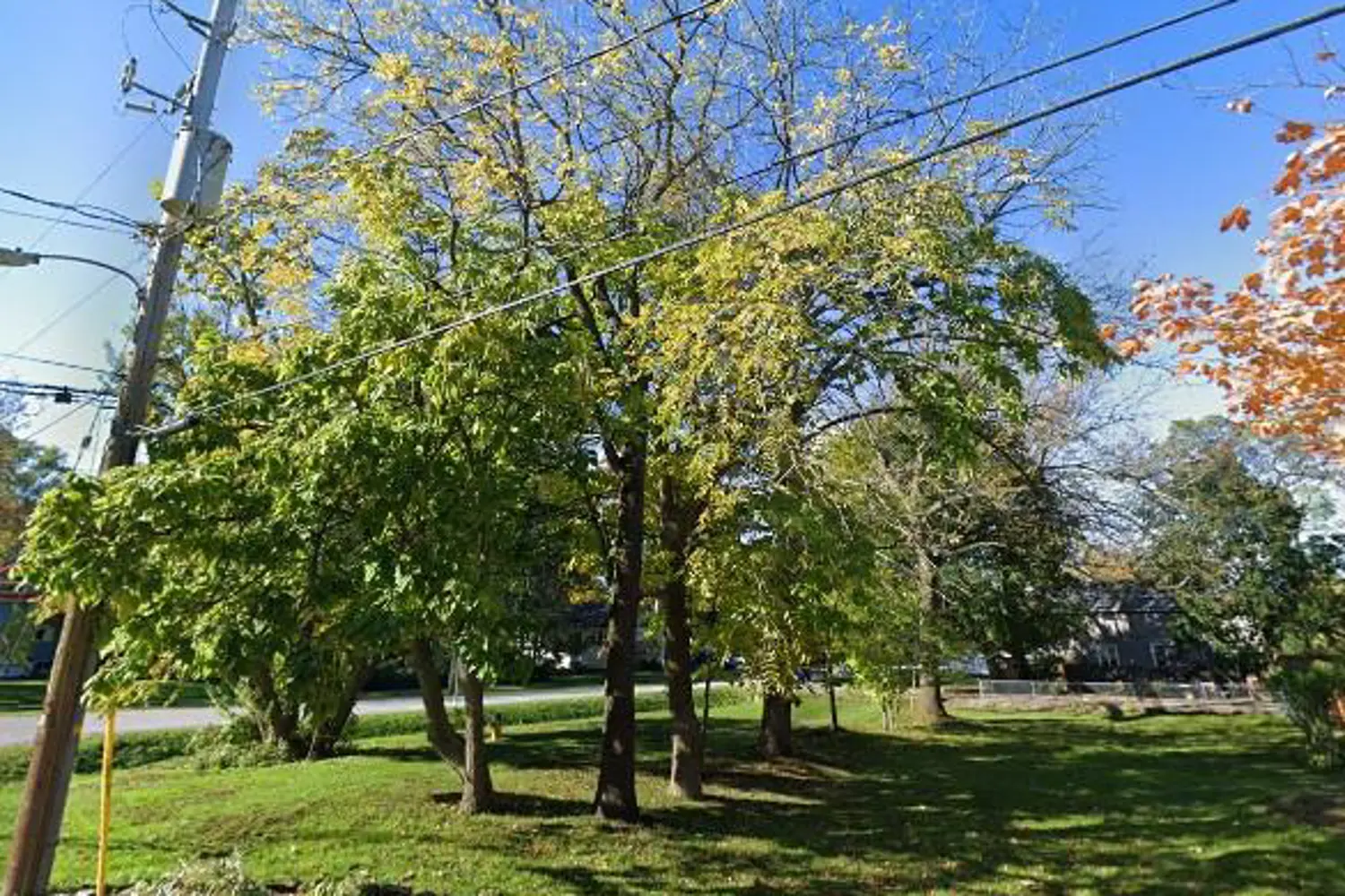 Additional image 3 of 10A Betts Avenue