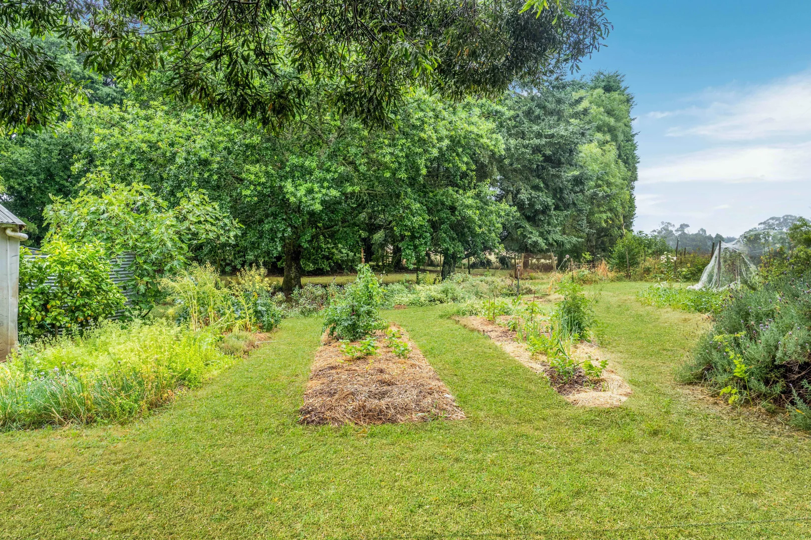 Additional image 26 of 150 Bergs Lane, Trentham East VIC 3458