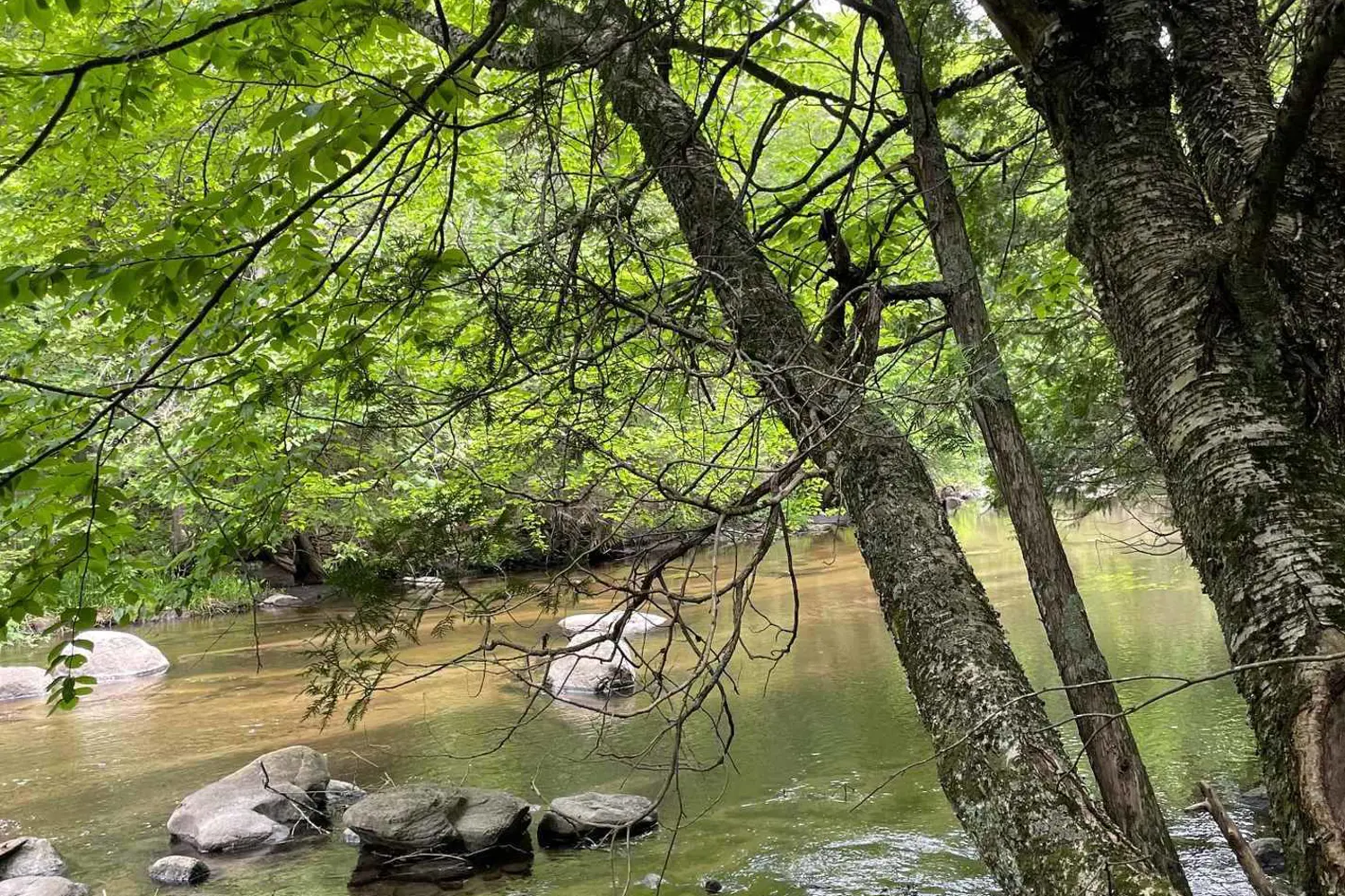 Additional image 2 of 79 Gummow Road