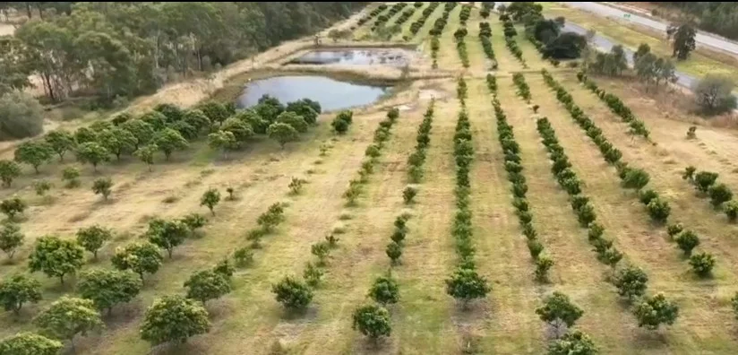 Additional image 9 of 70 Walla Road, Wallaville QLD 4671