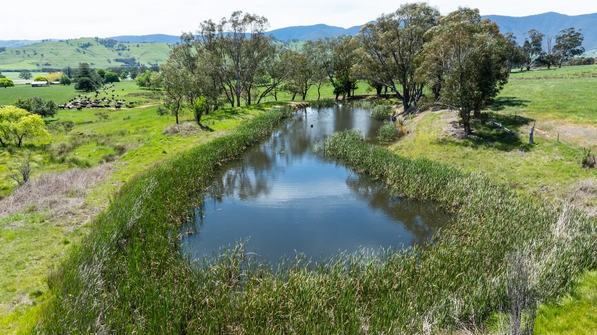 Additional image 2 of 4320 Kiewa Valley Highway, Dederang VIC 3691
