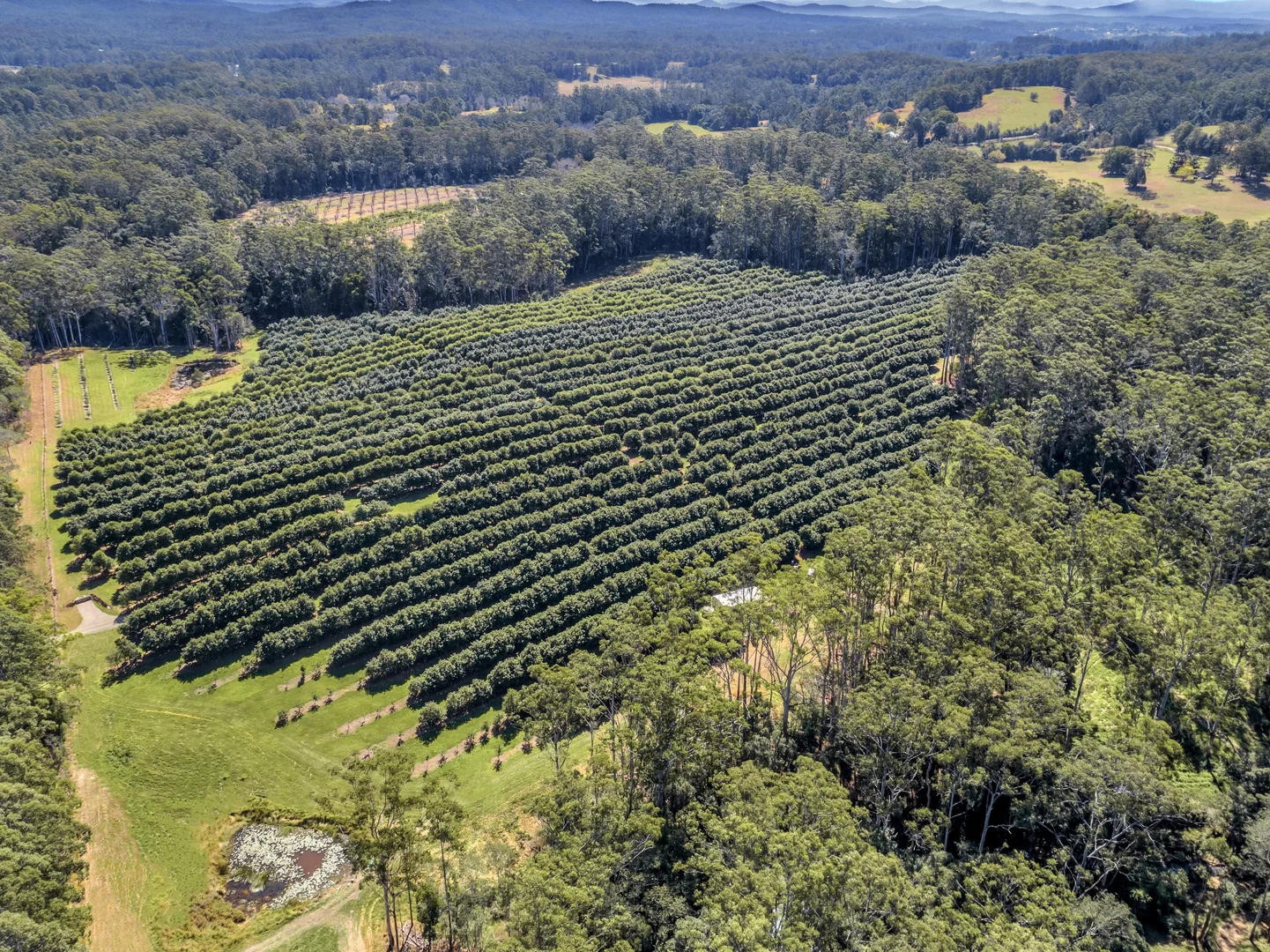 Additional image 4 of Pacific Highway, Eungai Creek NSW 2441