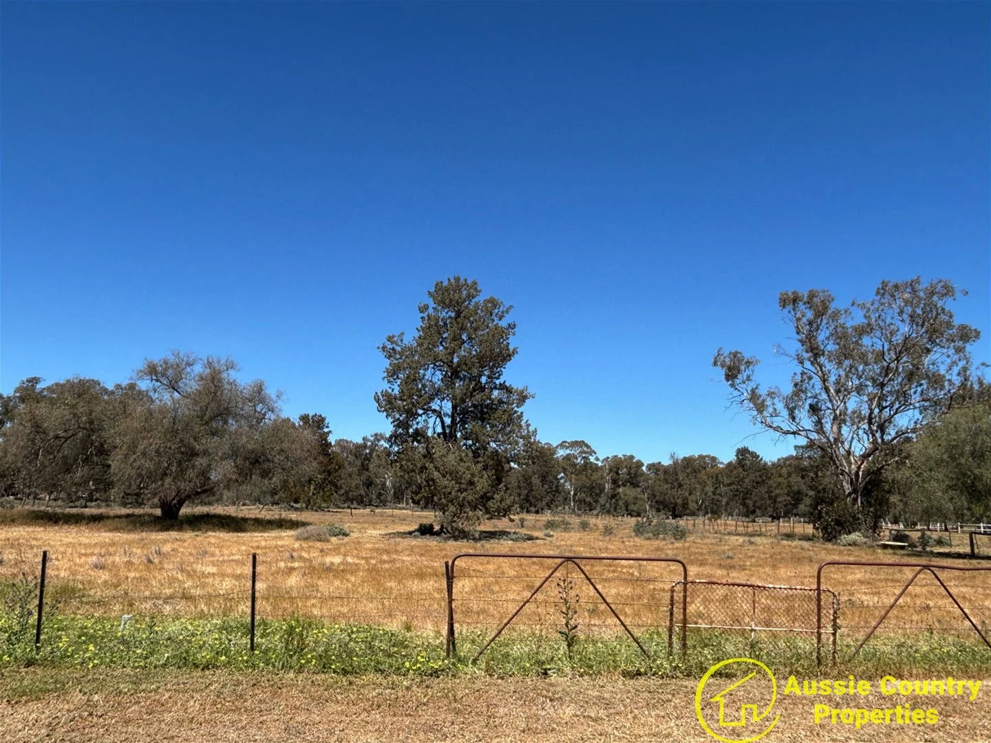 Additional image 29 of 45 Nangunia Street, Berrigan NSW 2712