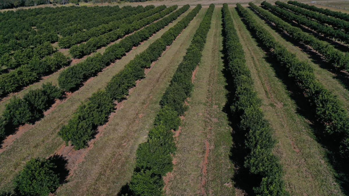 Additional image 12 of Skyring Reserve QLD 4671