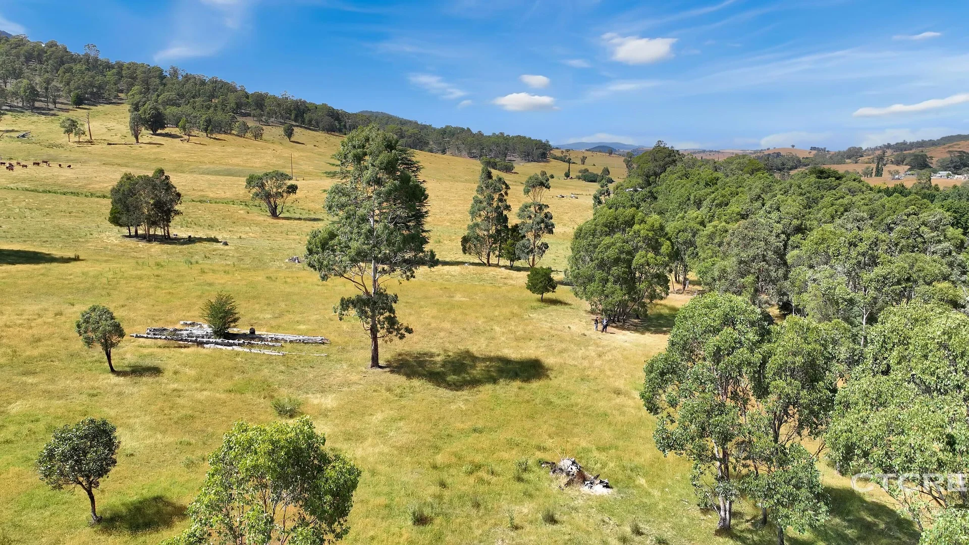 Additional image 7 of 3022 Benambra - Corryong Road, Benambra VIC 3900