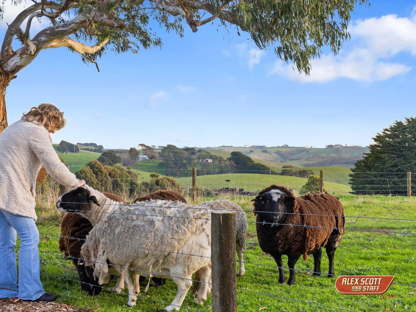 Additional image 39 of 730 Sheepways Road, Krowera VIC 3945