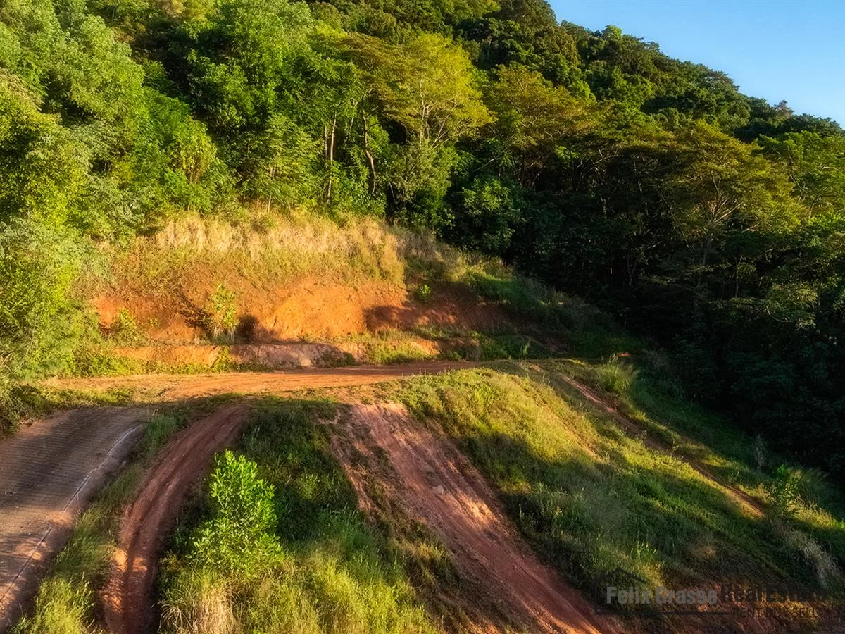 Additional image 8 of 31 Harvey Road, Redlynch QLD 4870