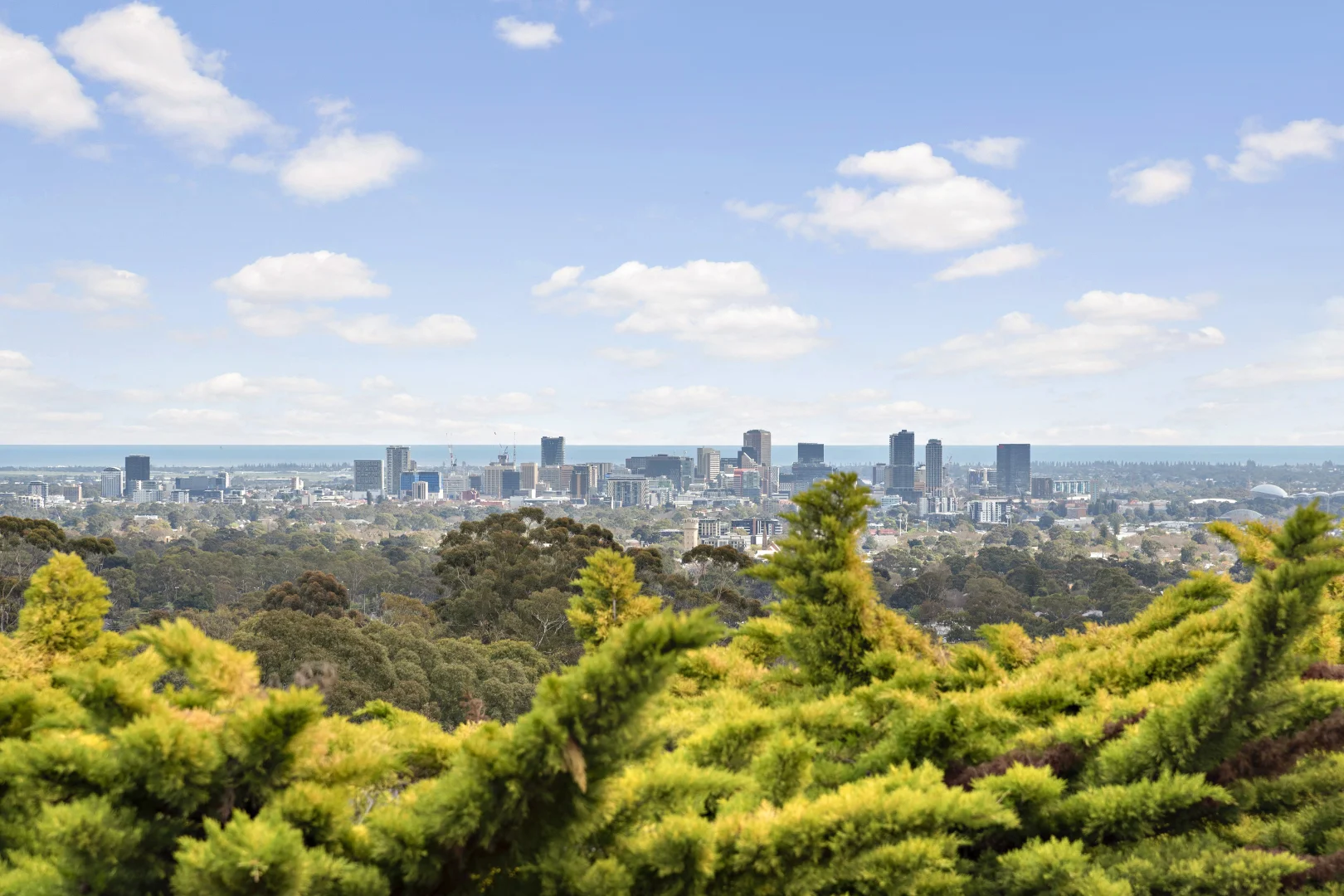 Additional image 2 of 586 The Parade, Auldana SA 5072