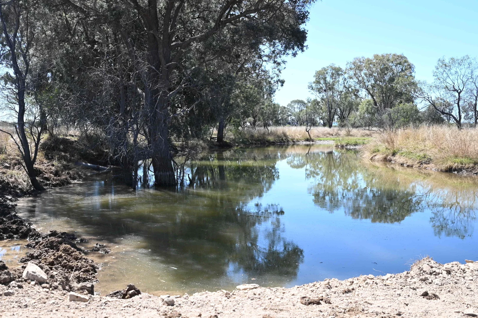 Additional image 8 of 102 Lowestoff Road, Capella QLD 4723