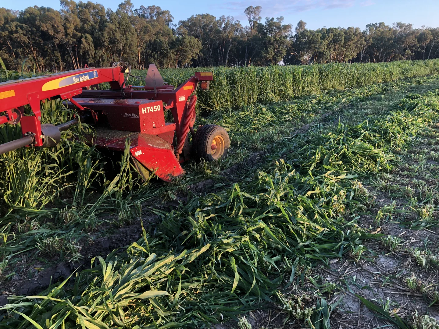 Additional image 21 of 4005 Lachlan Valley Way, Forbes NSW 2871