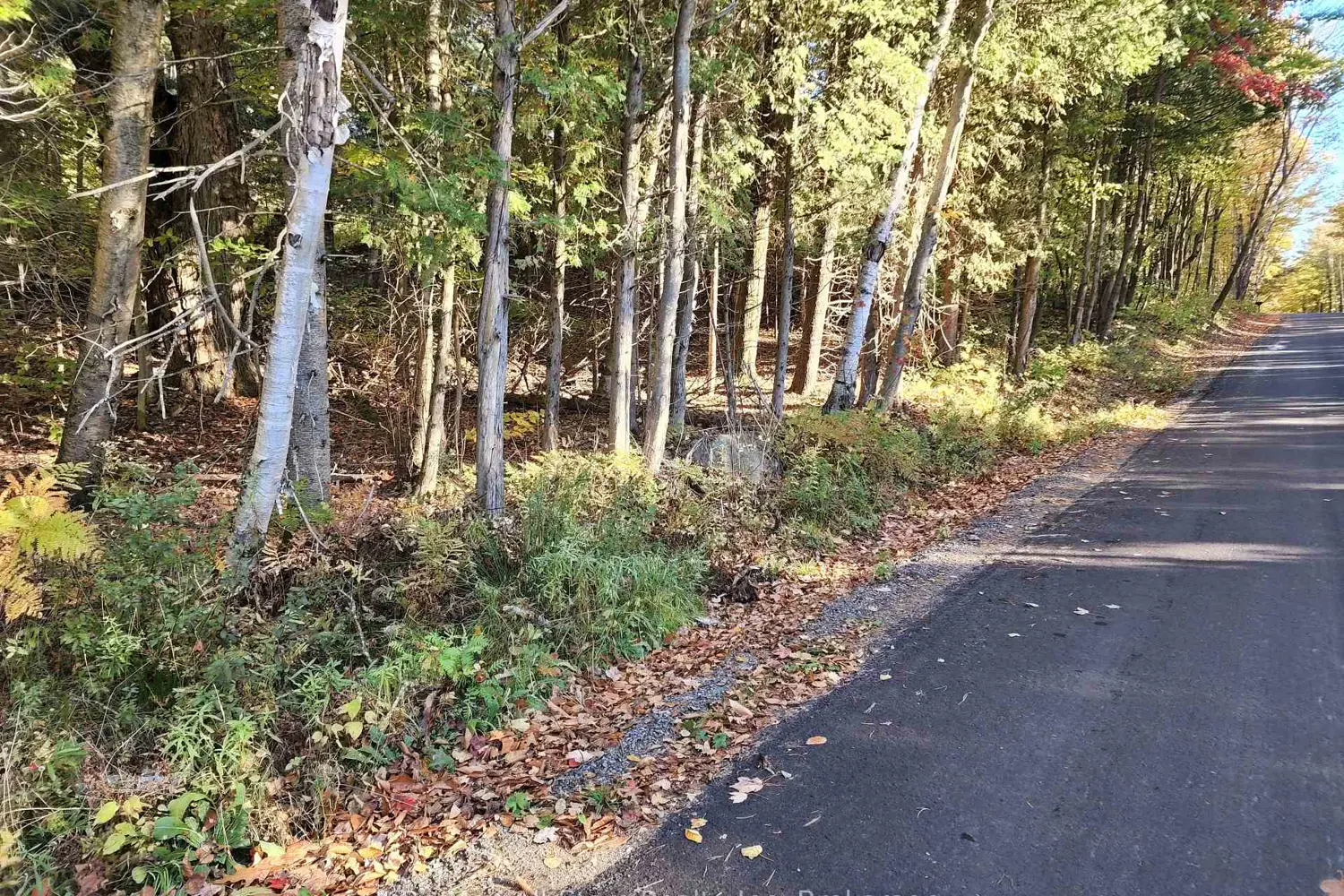 Additional image 9 of A Tally Ho Winter Park Road