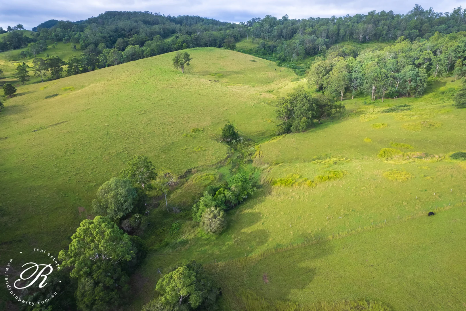 Additional image 15 of Gloucester NSW 2422