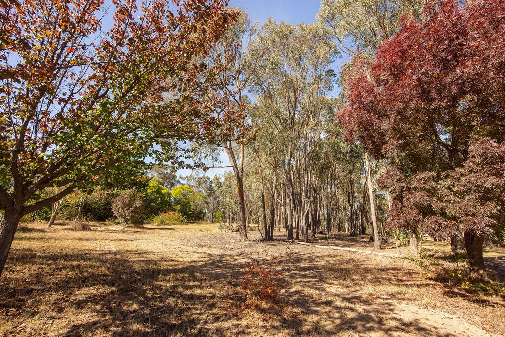 Additional image 23 of 7 Silver Creek Avenue, Yackandandah VIC 3749