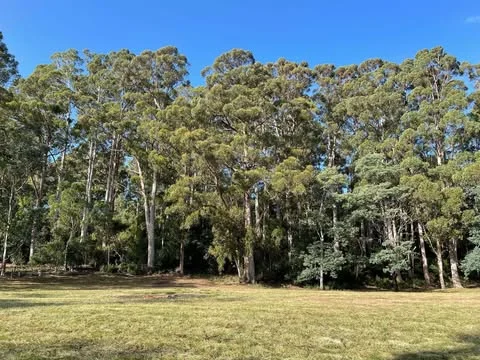 Additional image 7 of - Pages Road, Calder TAS 7325