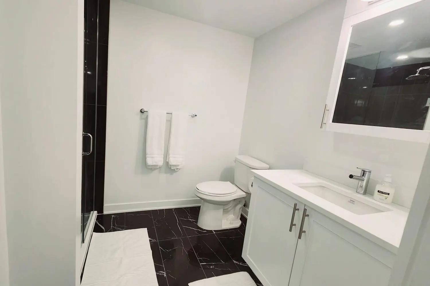 Additional image 12 of 340 Queen Street 1009