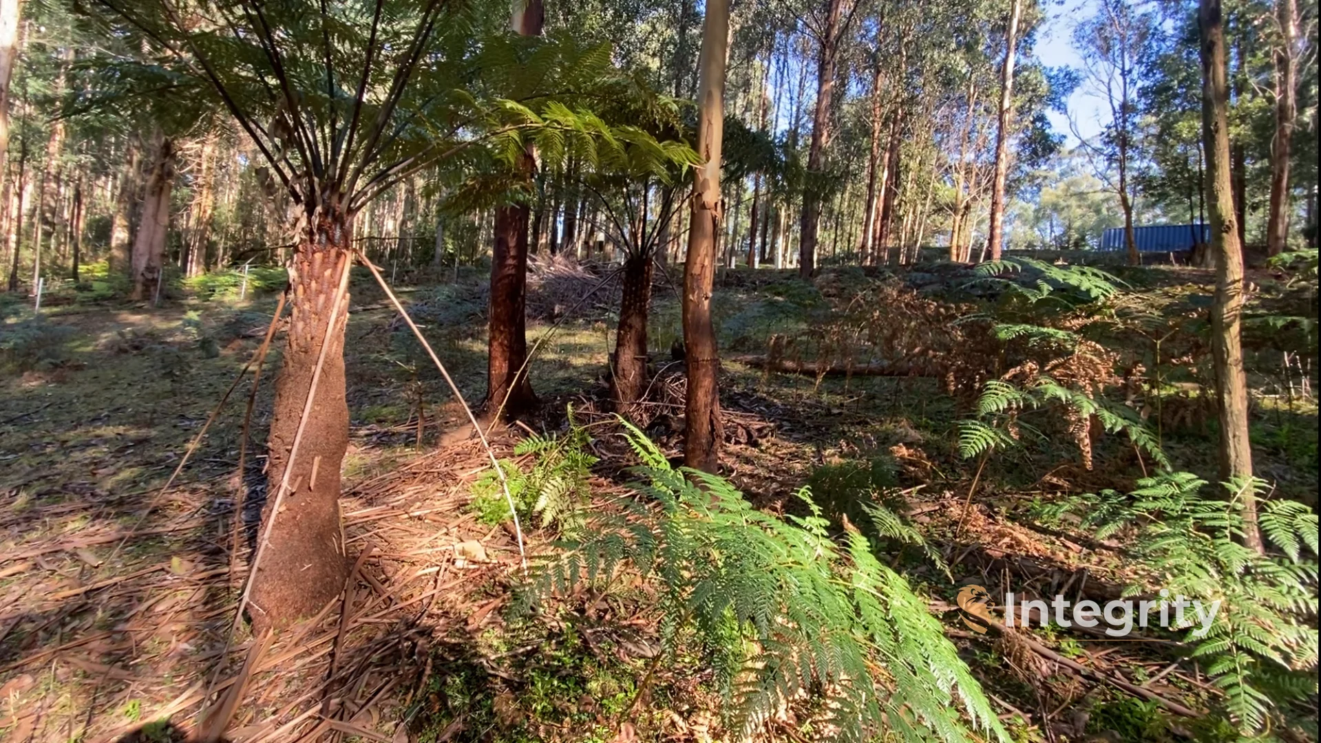 Additional image 27 of 47 Bald Spur Road, Kinglake VIC 3763