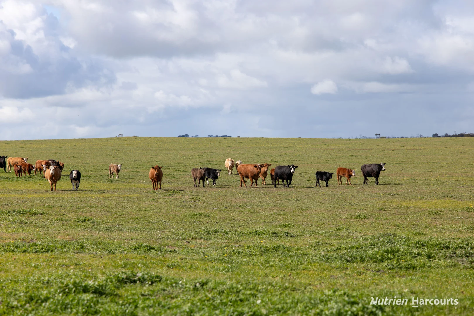 Additional image 10 of 1463 Savage Road, Neridup WA 6450