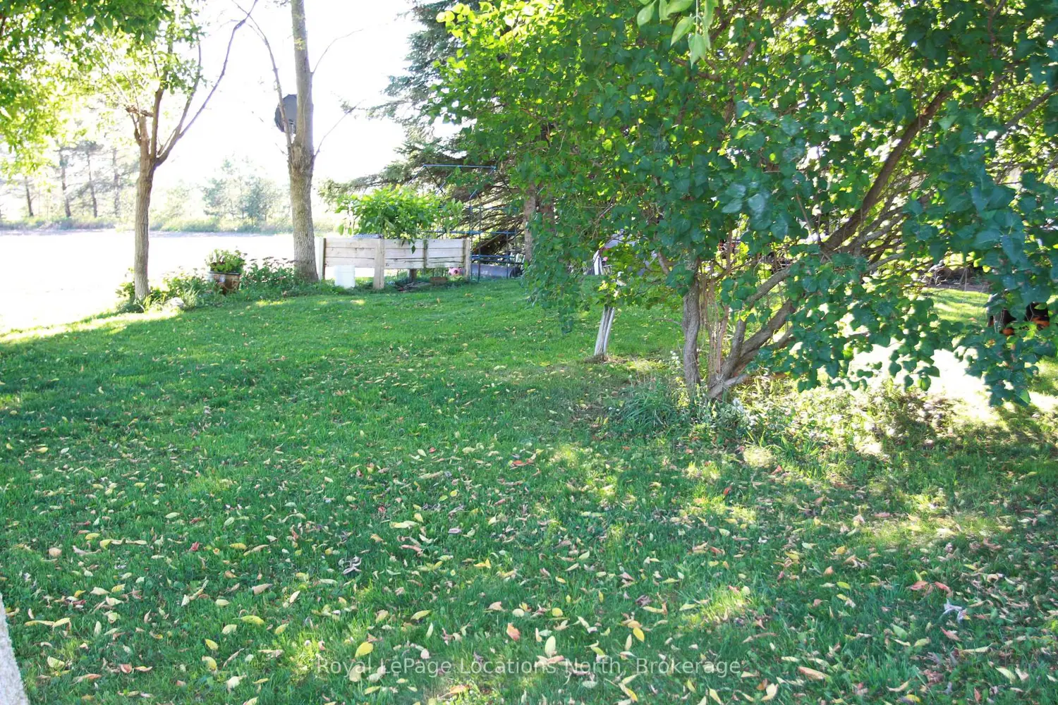 Additional image 17 of 1539 6 Concession