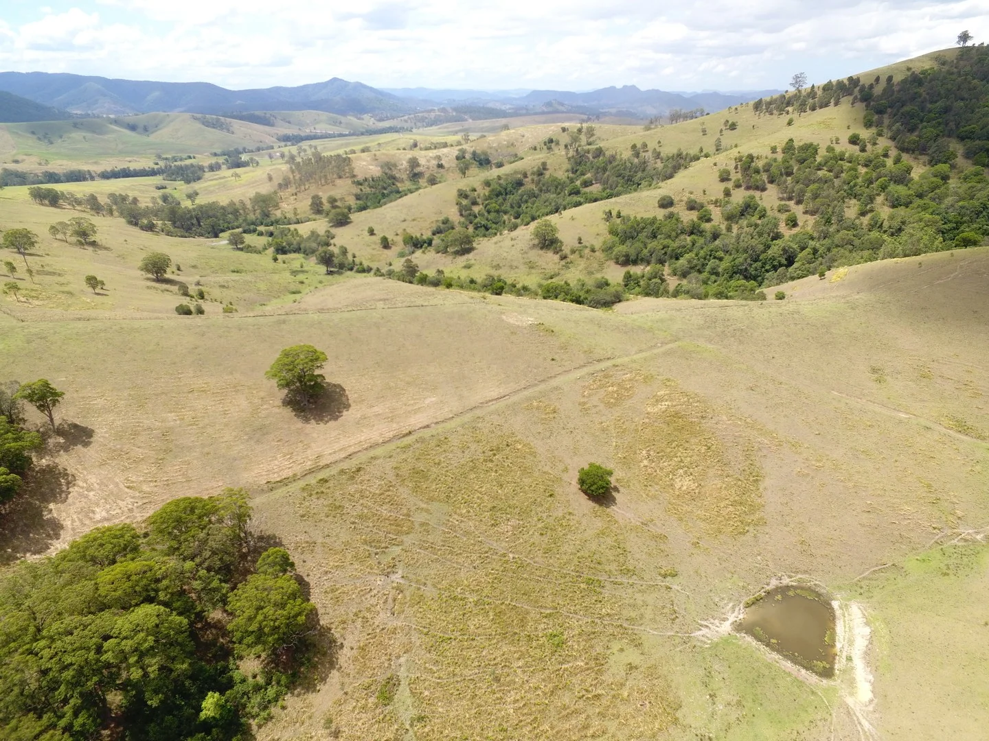 343 Berrico Creek Road, Gloucester NSW 2422