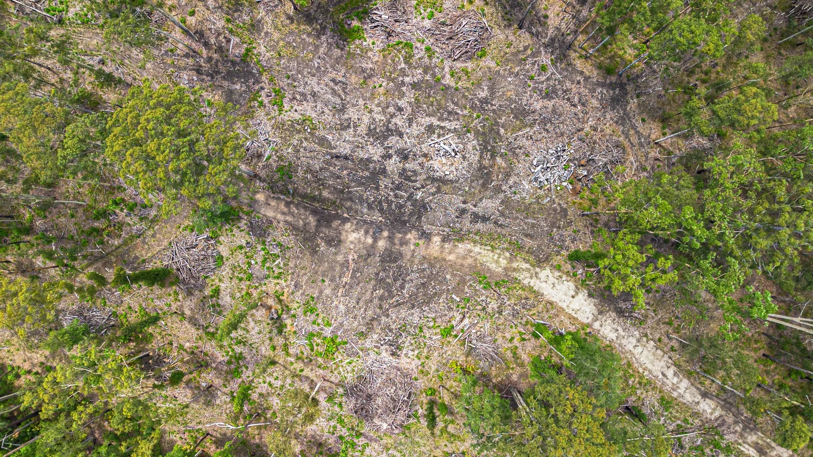 Additional image 19 of 42 Turpentine Road, Tomerong NSW 2540