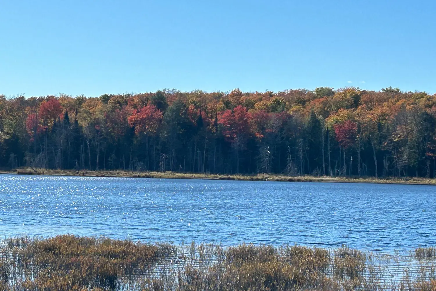 Additional image 9 of 833 Hamilton Lake Road