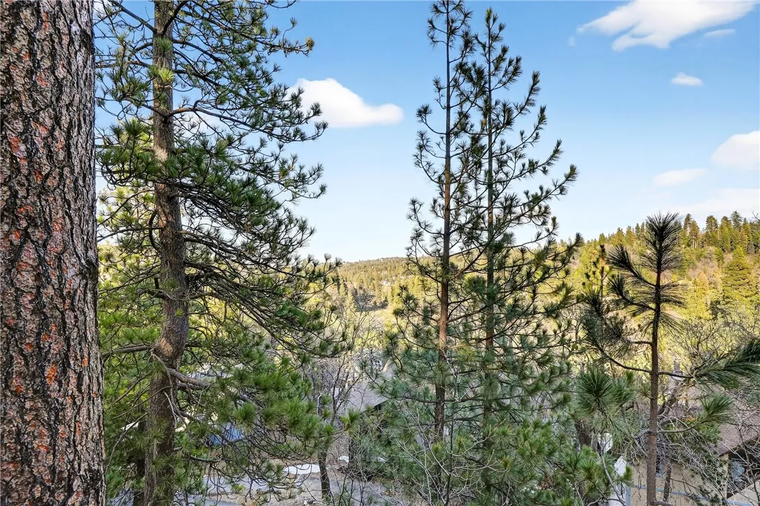 Additional image 129 of 26633 Thunderbird Dr, Lake Arrowhead, CA 92352