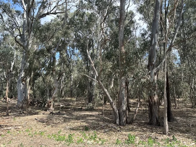 Additional image 9 of 456 RIVER ROAD, Gonn Crossing VIC 3579