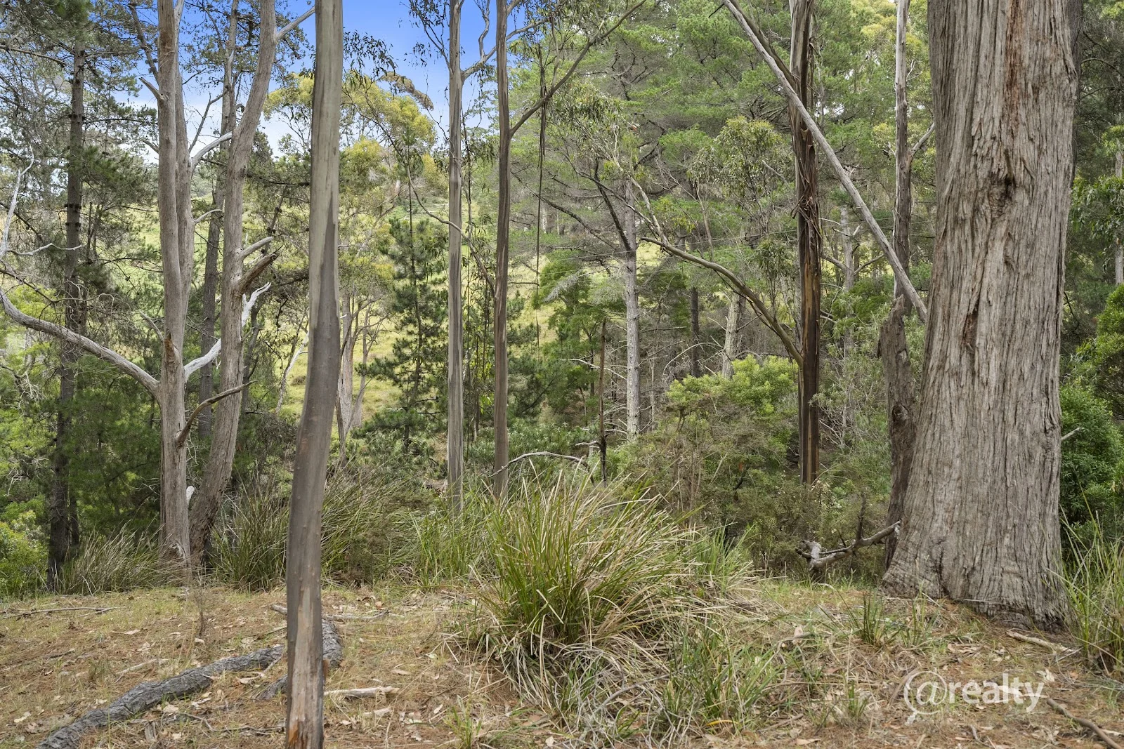 Additional image 45 of 100A Nichols Road, Nubeena TAS 7184