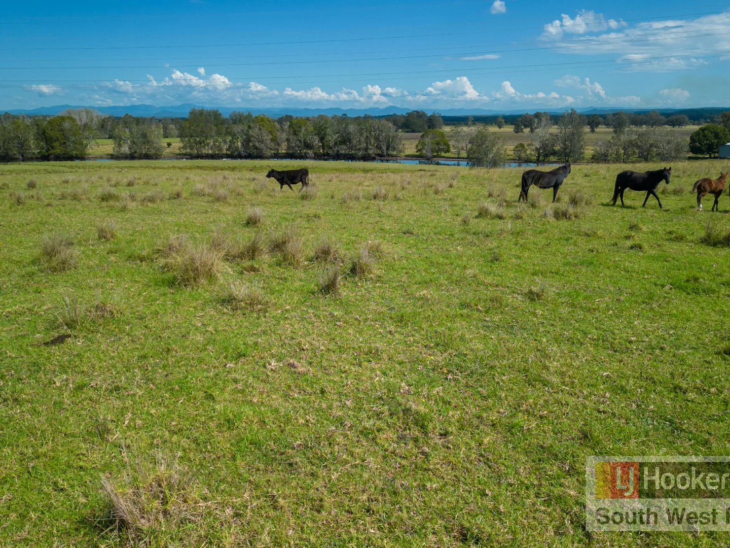 Additional image 10 of 2149 Macleay Valley Way, Clybucca NSW 2440