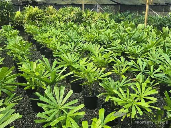 Additional image 8 of 15 Ross Road, Deeral QLD 4871