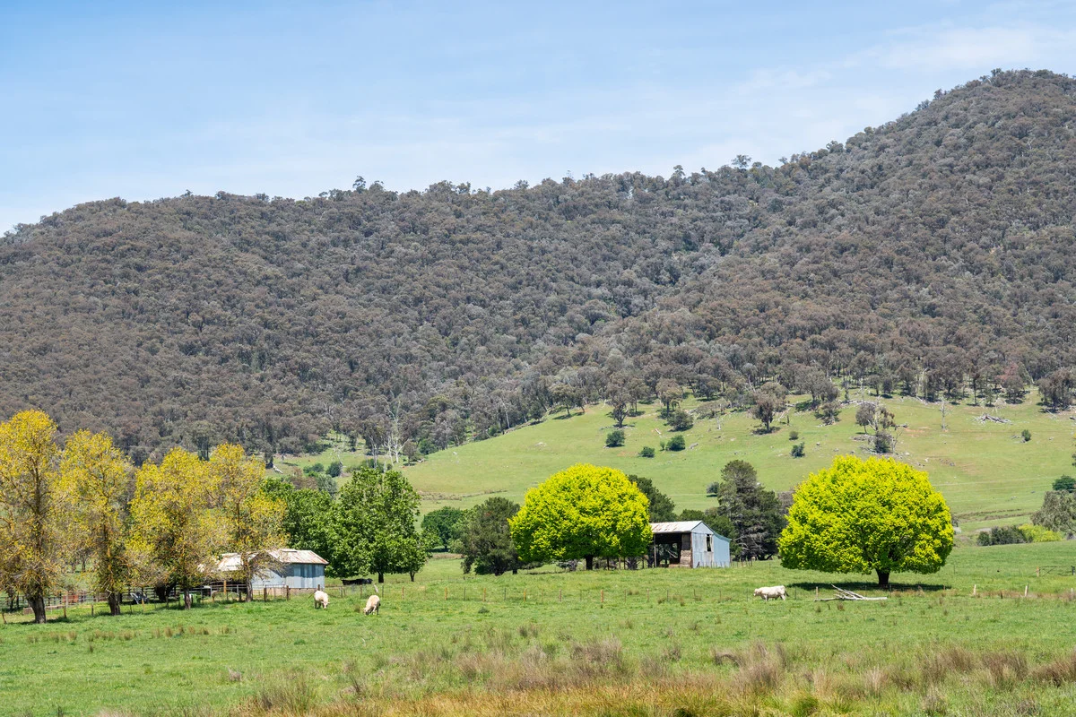 Additional image 22 of 4320 Kiewa Valley Highway, Dederang VIC 3691