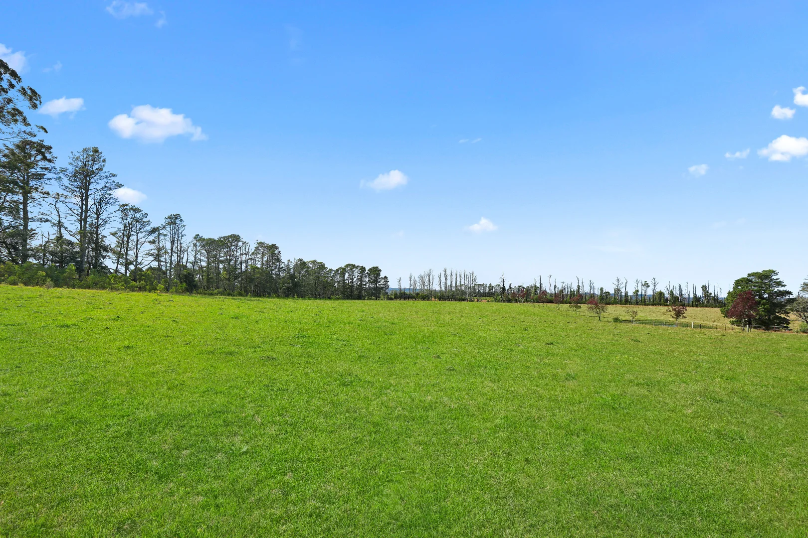 Additional image 17 of 92 Powells Road, Bilpin NSW 2758