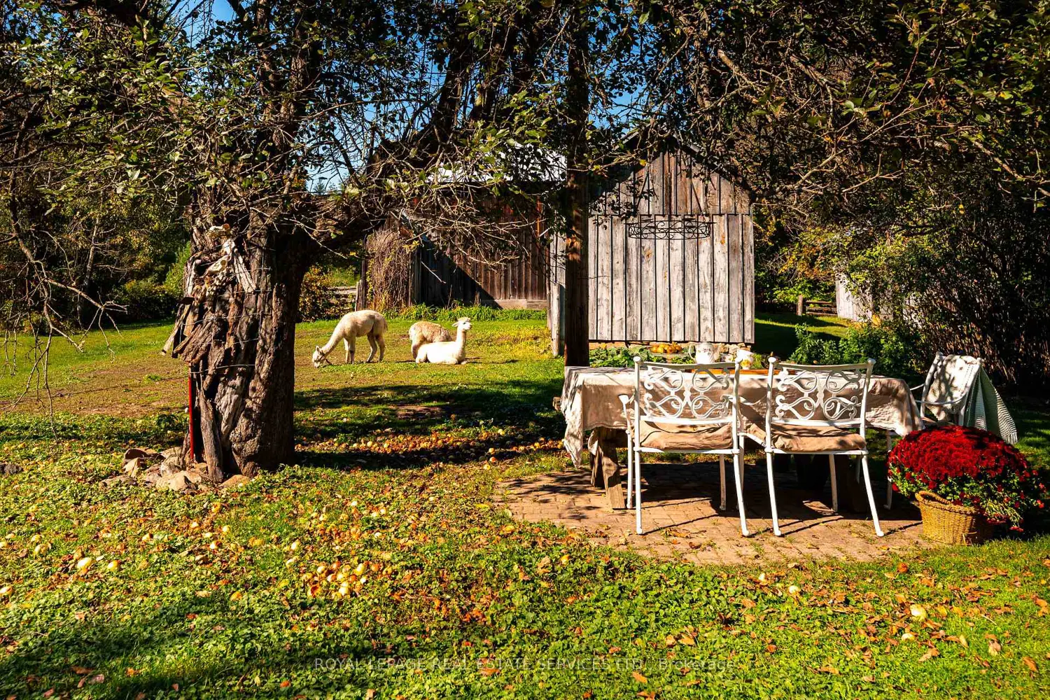 Additional image 12 of 2414 Concession 3 Road