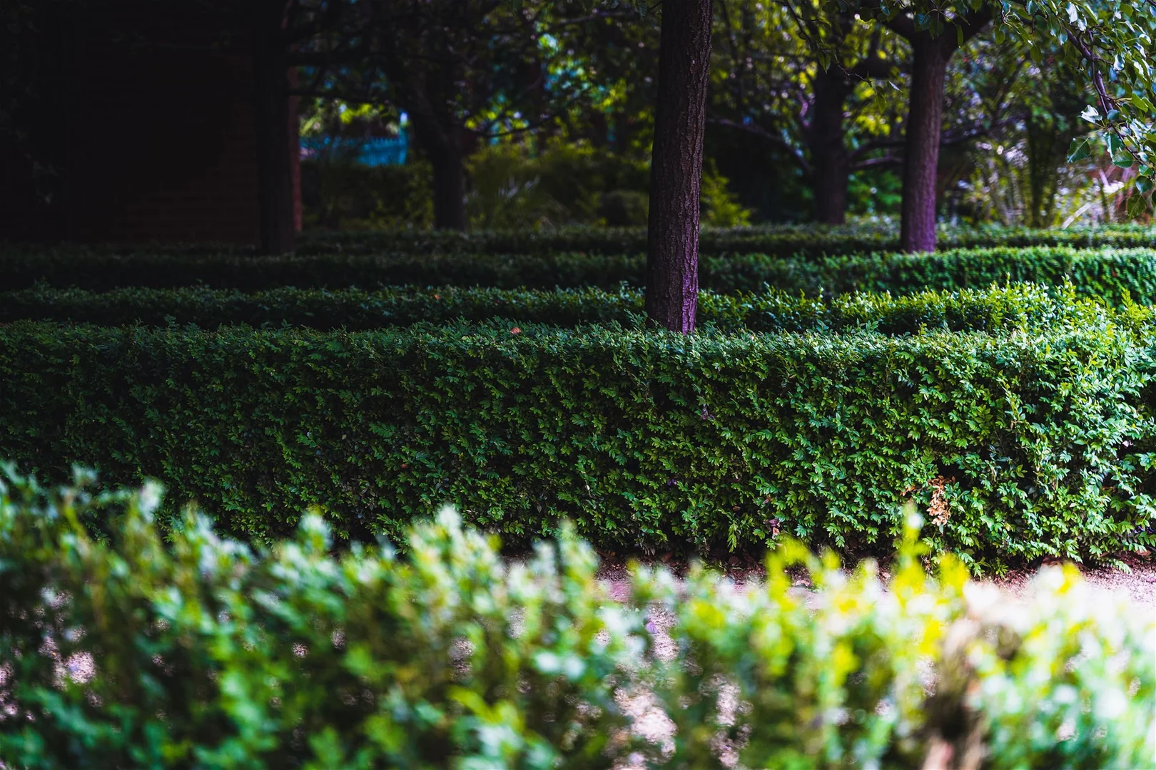 Additional image 4 of 1-4/6 Johnstone Street, Castlemaine VIC 3450