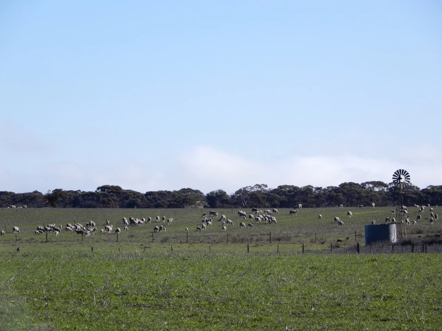 Additional image 13 of 281 Kielow Road, Peake SA 5301