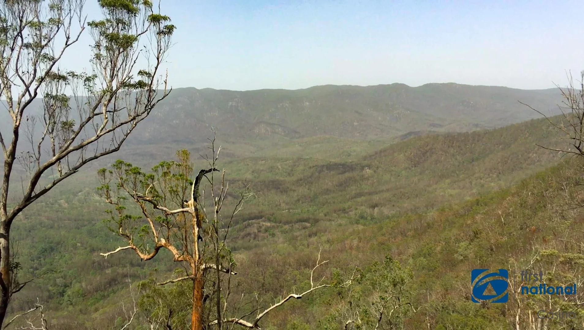 Additional image 20 of Lot 8 Long Gully Road, Drake NSW 2469