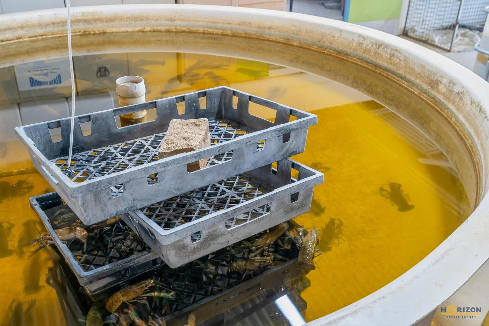 Additional image 21 of 586 Hodzic Road, Biboohra QLD 4880