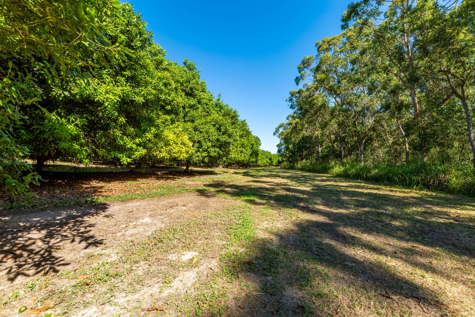 Additional image 10 of 94 Pashleys Road, Welcome Creek QLD 4670