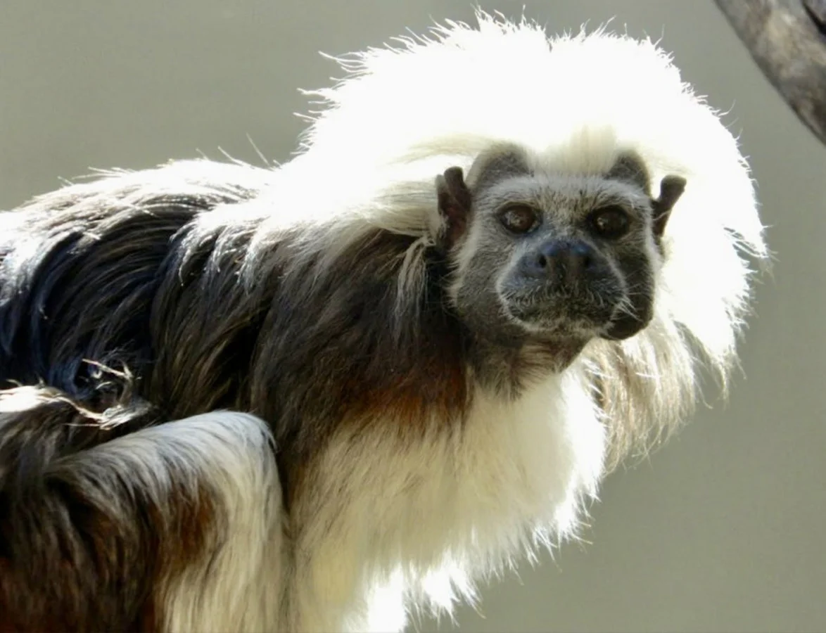 Additional image 12 of 21 Baines Road, Pilton QLD 4361